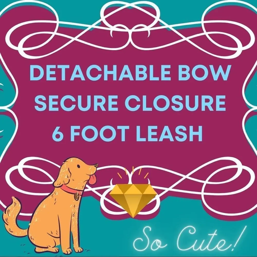 🐾Dog Leash and Detachable Bow Set in Sparkles🐾